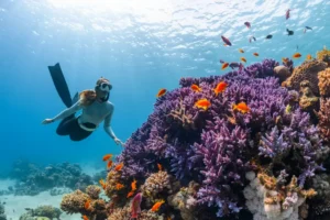 Scuba Diving On Grand Cayman