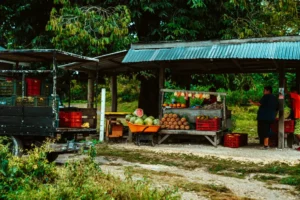 Travel To Belize