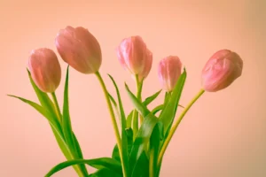Valentine’s Day: Grown-Up Style