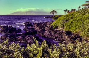 Customizing Your Search To Find The Perfect Oceanfront Condo In Wailea