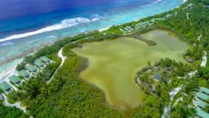 Luxury Villas In Hawaii: Your Renting Options