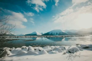 Cheap Alaska Shore Excursions