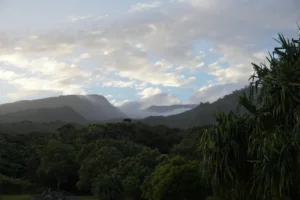 Finding Maui Beachfront Vacation Home Deals