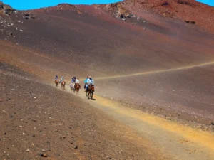 Maui Vacation Packages: What They May Include