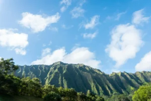 Oahu Vacation Rentals: Your Booking Options