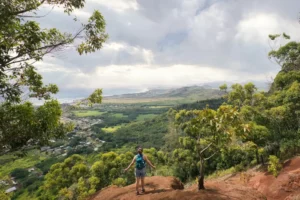 The Whales Of Kauai