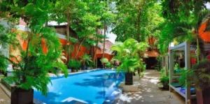 Hawaii Luxury Beach Villas: Your Booking Options