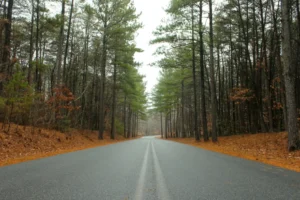 Getting Information Online About Fayetteville, North Carolina