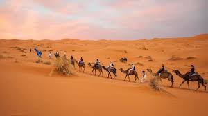 Desert Safari Dubai Price: How Much Does the Ultimate Desert Adventure Cost?