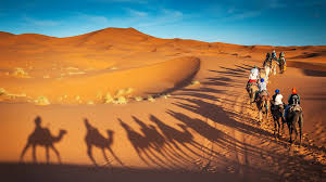 Desert Safari Dubai Price: How to Find the Best Deals for Your Desert Adventure
