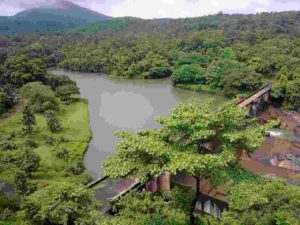 7 Days Kerala Private Tours – Backwaters to Hill Retreats