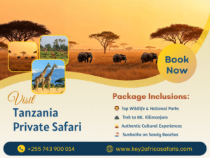 Discover the Best Luxury Safari Packages in Africa with Key2Africa Safaris