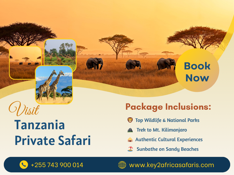 Discover the Best Luxury Safari Packages in Africa with Key2Africa Safaris
