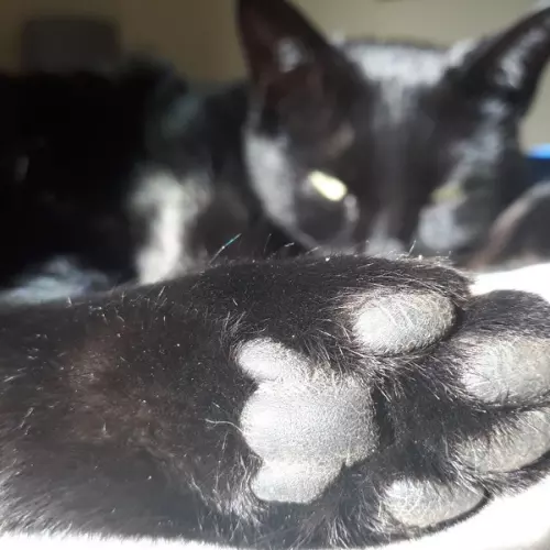 Stay Organized the Lazy Way: Less Hustle, More Rest