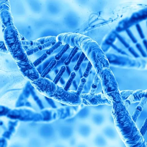 3 Skills to Build Your Ultimate 21st Century Employee