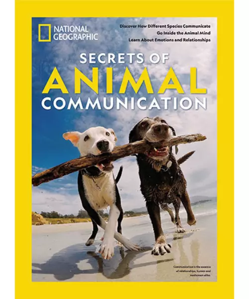 Stop Confusing Your Audience! Speak to Reduce Uncertainty