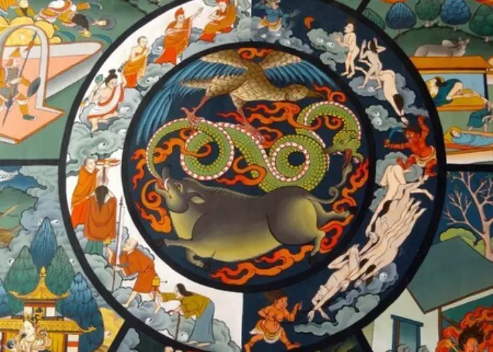 Buddha's Three Poisons: Stop Suffering, Find Happiness