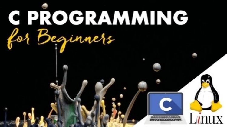 Programming Languages