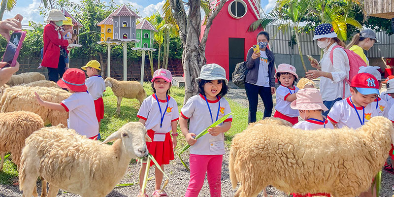 TOUR HỌC SINH 1N: KHU DI TÍCH LỊCH SỬ NGÃ BA GIỒNG - KHU DU LỊCH SINH THÁI GREEN LAND FARM - KHỞI HÀNH TẠI TÂY NINH4