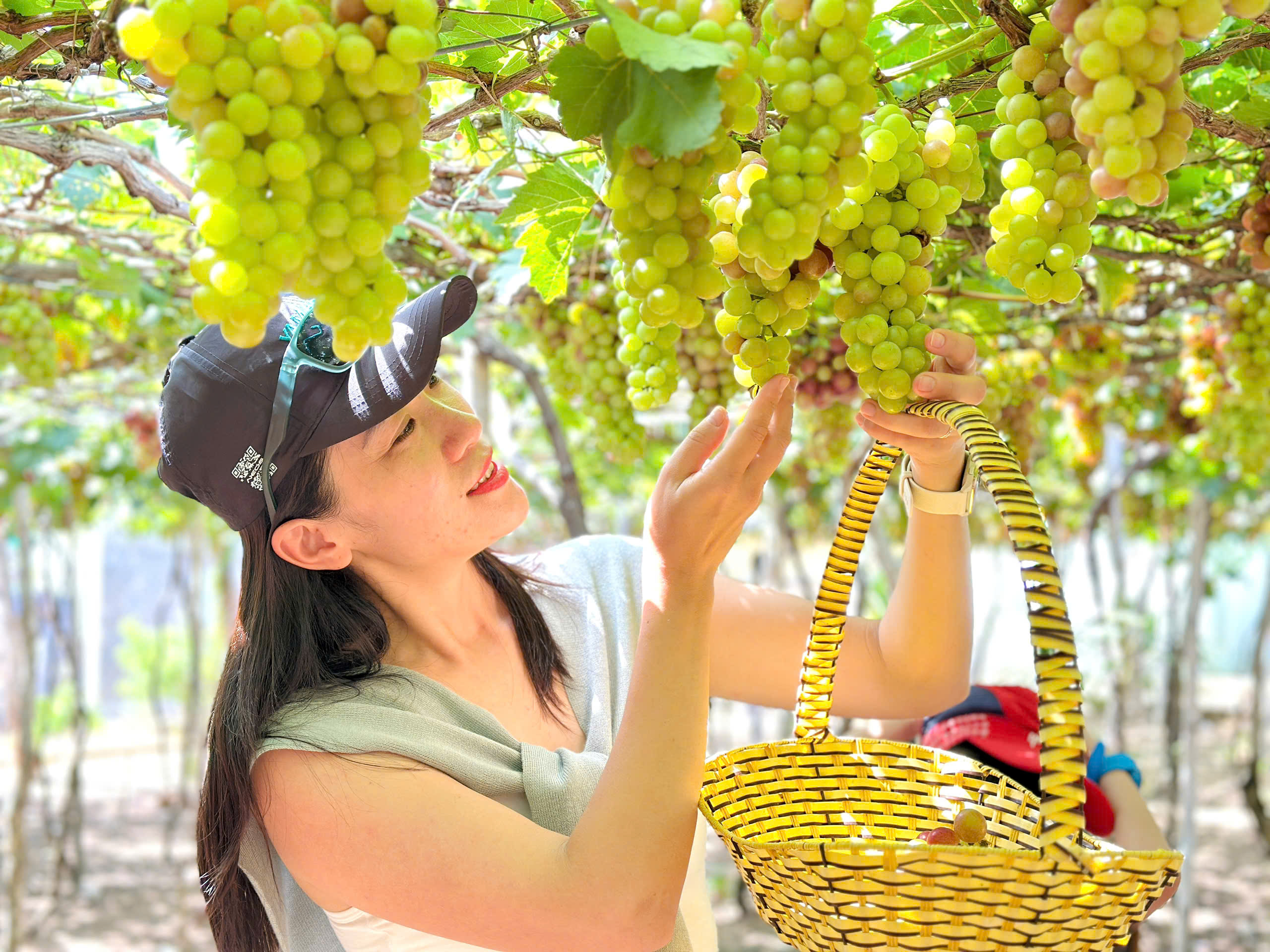 TOUR ĐẢO BÌNH HƯNG - VĨNH HY 2N2Đ - KHÁM PHÁ BIỂN XANH & CÁT TRẮNG2