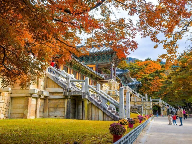 TOUR HÀN QUỐC: BUSAN - DAEGU - SEOUL - 5N5Đ