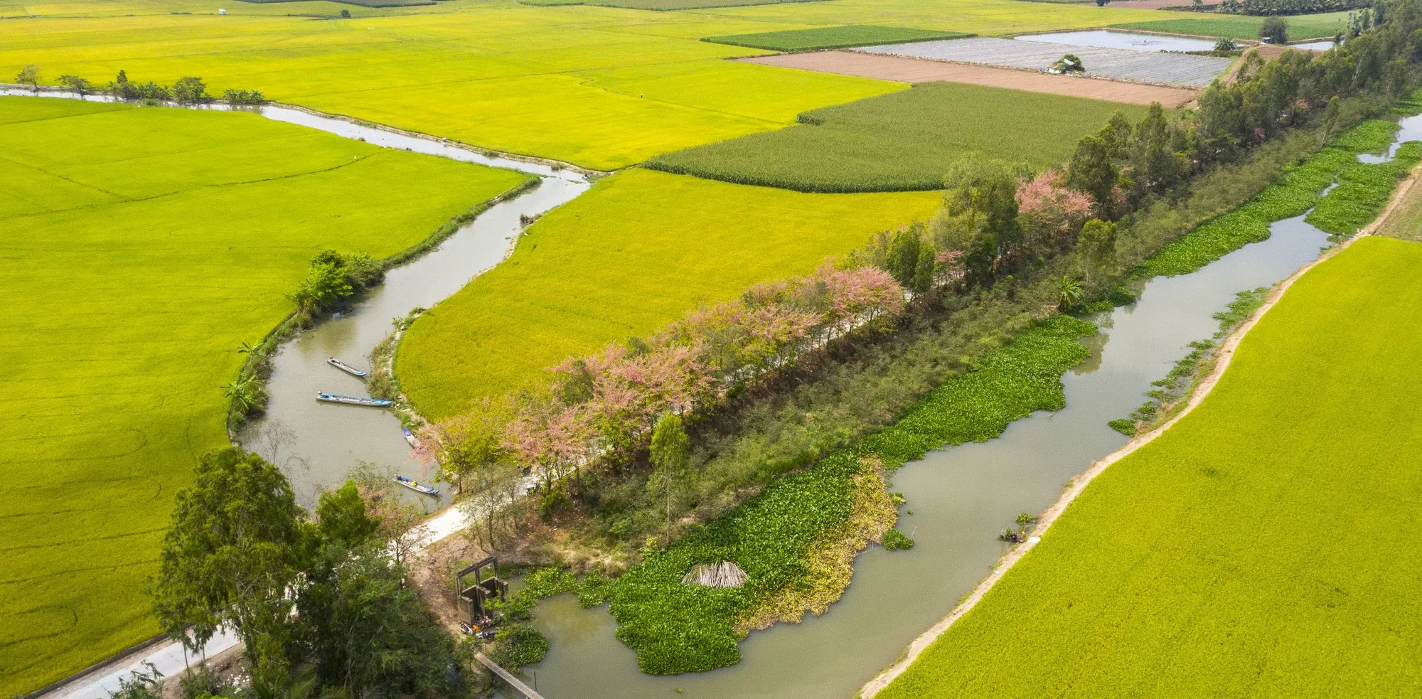 Gợi ý lịch trình tour du lịch miền Tây 3 ngày 2 đêm cực vui