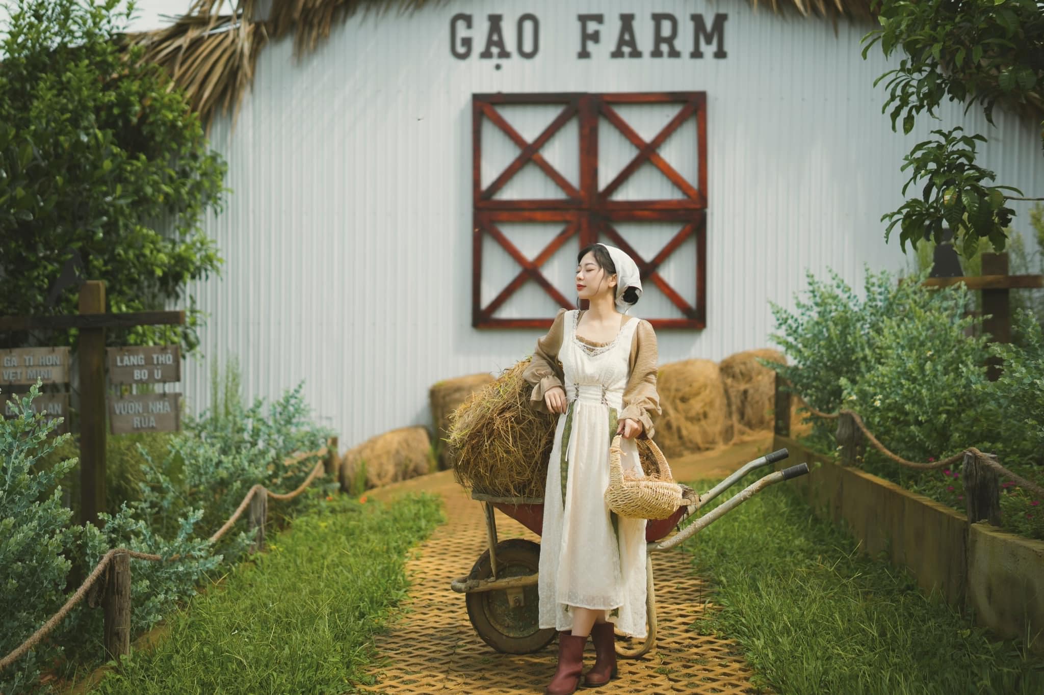 TOUR KHÁM PHÁ DU LỊCH NAM TÂY NGUYÊN - KHU DU LỊCH MADAGUI – BẢO LỘC 2N1Đ3