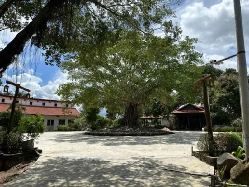 Hang Soi Forest Village