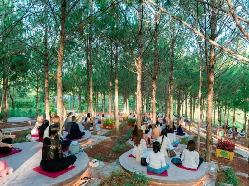 Các trải nghiệm tâm linh đáng thử tại Samten Hills Đà Lạt