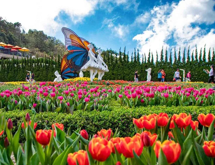 Vườn hoa tại Sun World Bà Nà Hills