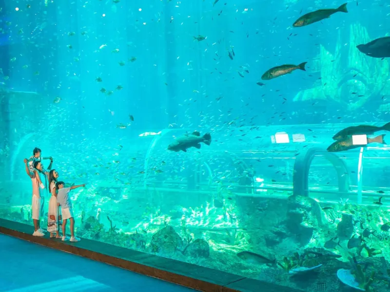 Thủy cung Cung điện Hải Vương 