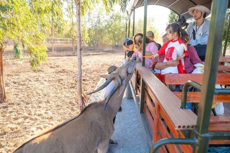 Safari Cafe & Zoo