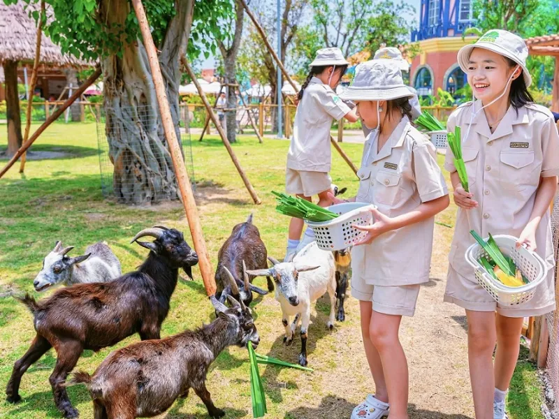 Trẻ em trải nghiệm làm quản trò nhí Junior Zoo Keeper tại vườn thú Phú Quốc.