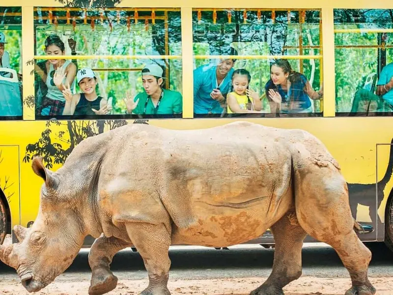 Xe bus chuyên dụng đưa khách trải nghiệm nhốt người thả thú tại Vinpearl Safari Phú Quốc.