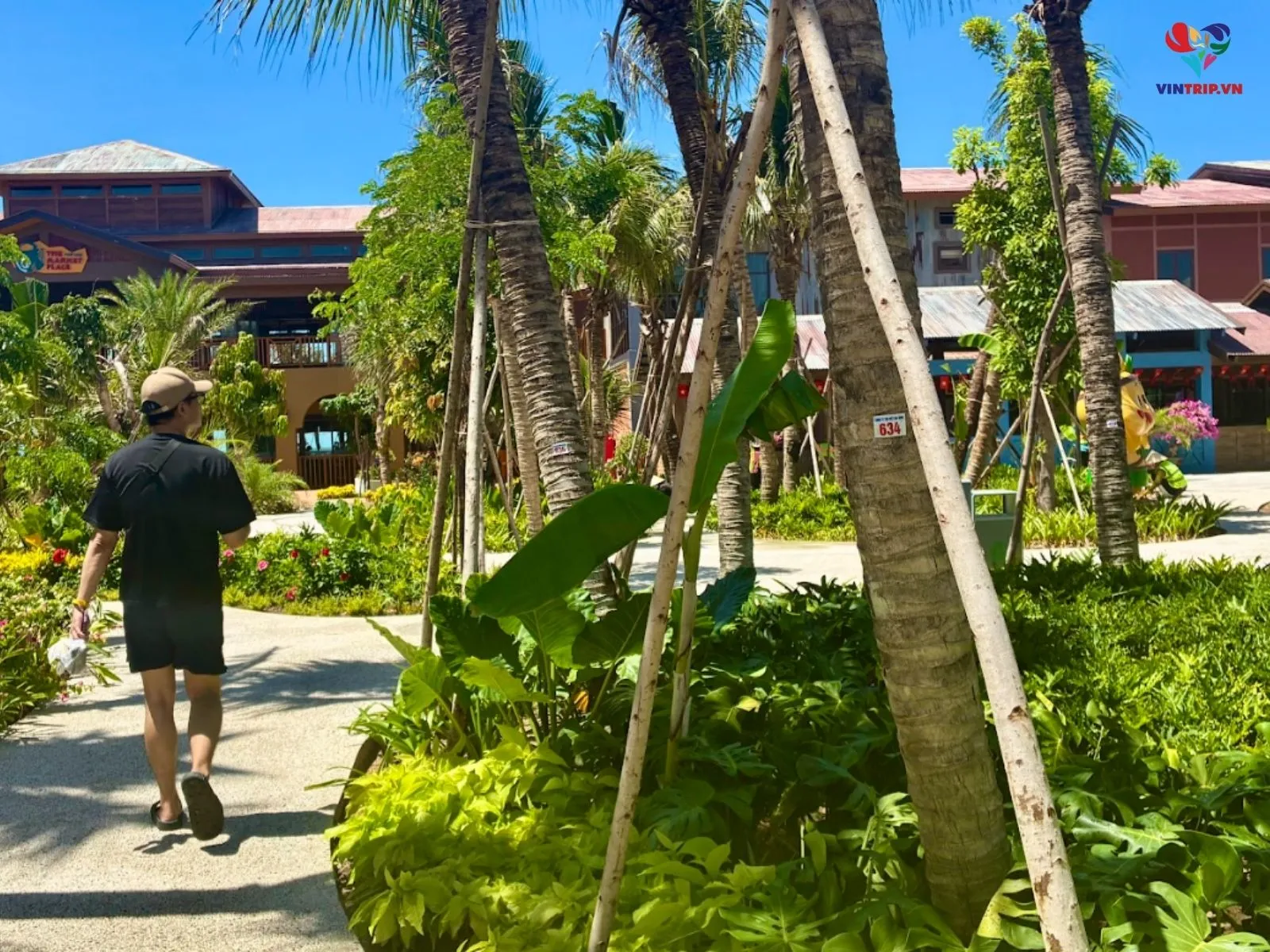 Công Viên Nước Sun World Vũng Tàu | Khám Phá Aqua Adventure Mới Nhất