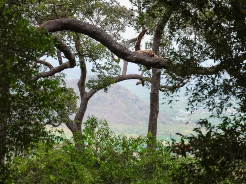 Ngắm Toàn Cảnh Thiên Nhiên Từ Trên Cao  Trekking Núi Tà Cú