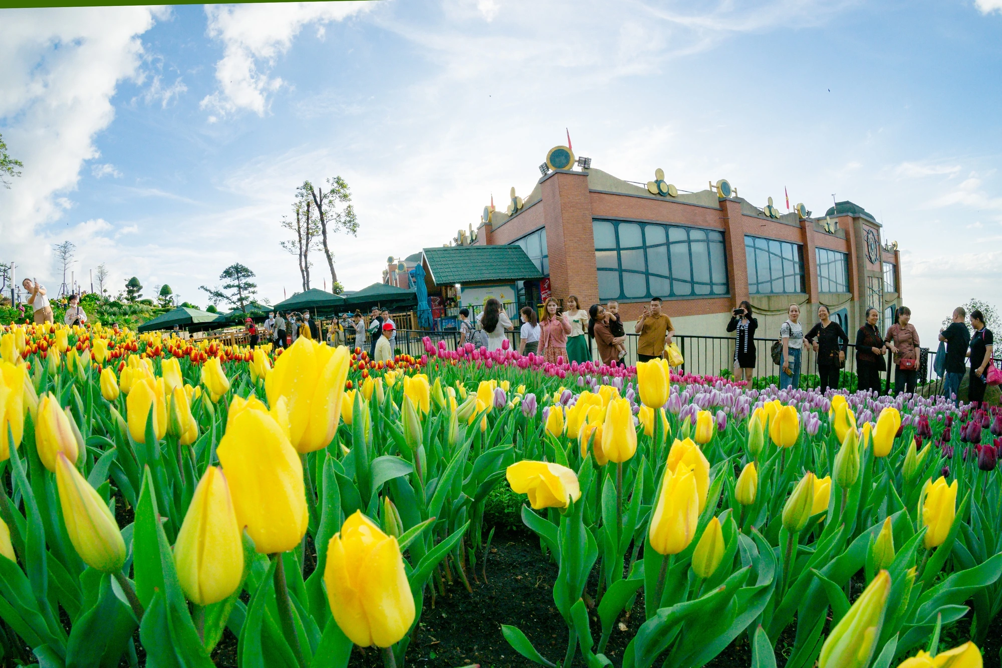 Bảng giá vé núi Bà Đen cập nhật mới nhất 2025 - 2