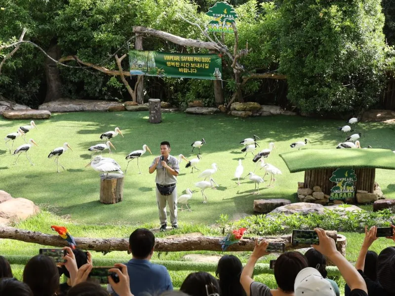 Show biểu diễn động vật đặc sắc với các loài chim và thú tại Safari Phú Quốc.