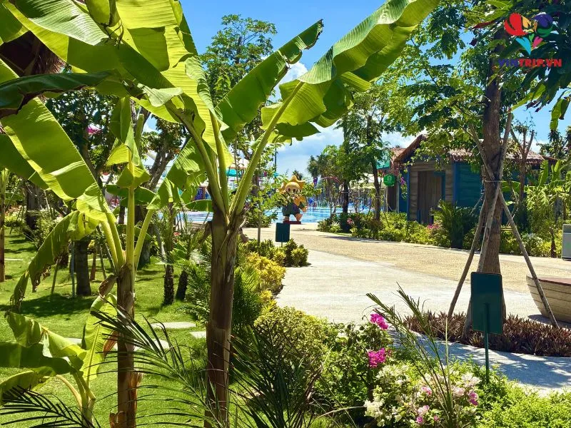 Tổng quan về công viên Sun World Vũng Tàu