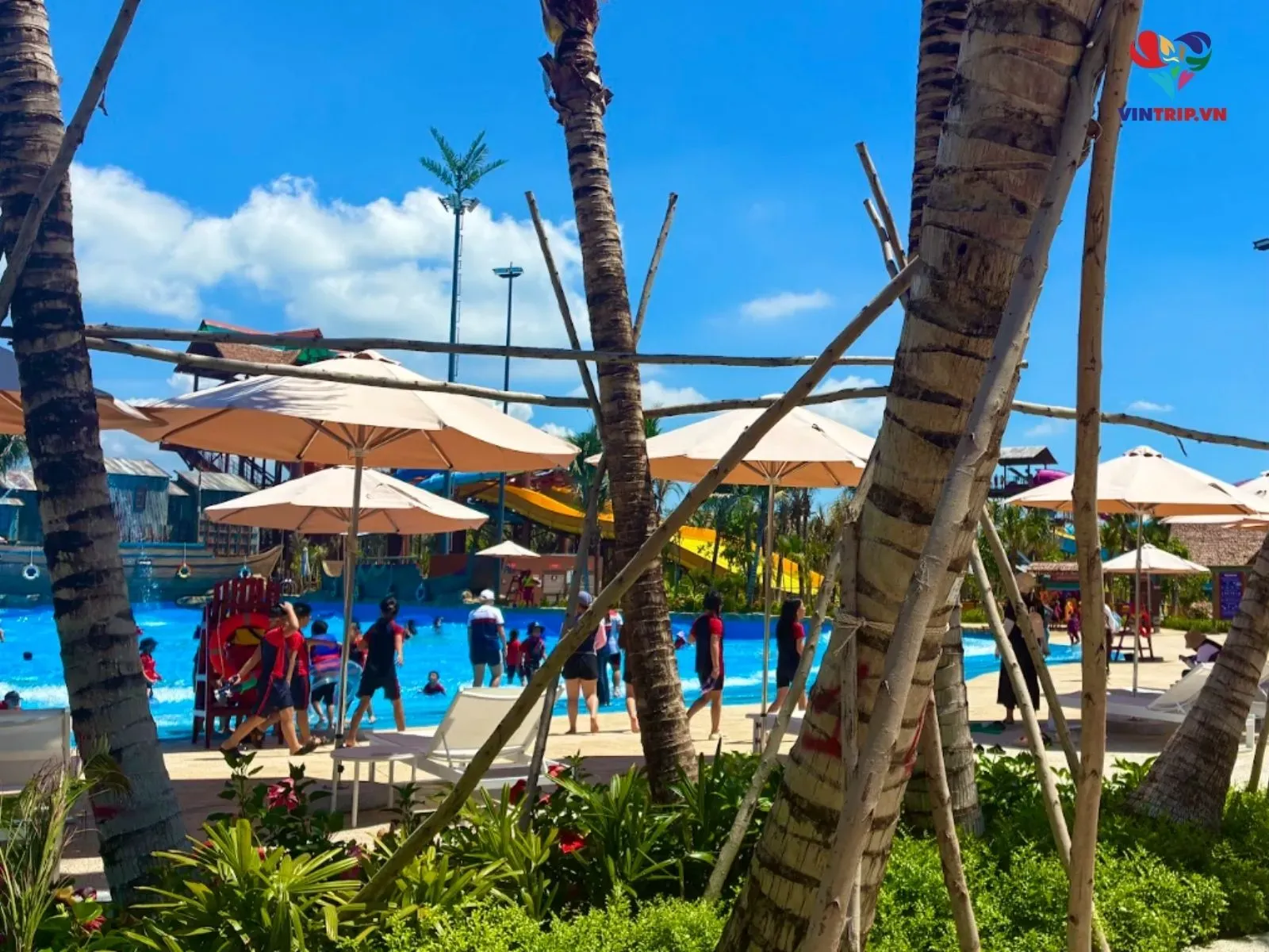 Khám phá Wave Pool Aqua Adventure rộng 6.000m2 có gì đặc sắc?