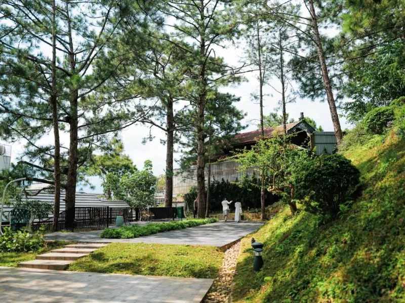 Khuôn Viên Và Sân Vườn Không Gian Và Thiết Kế Tại Samten Hills Boutique Villa