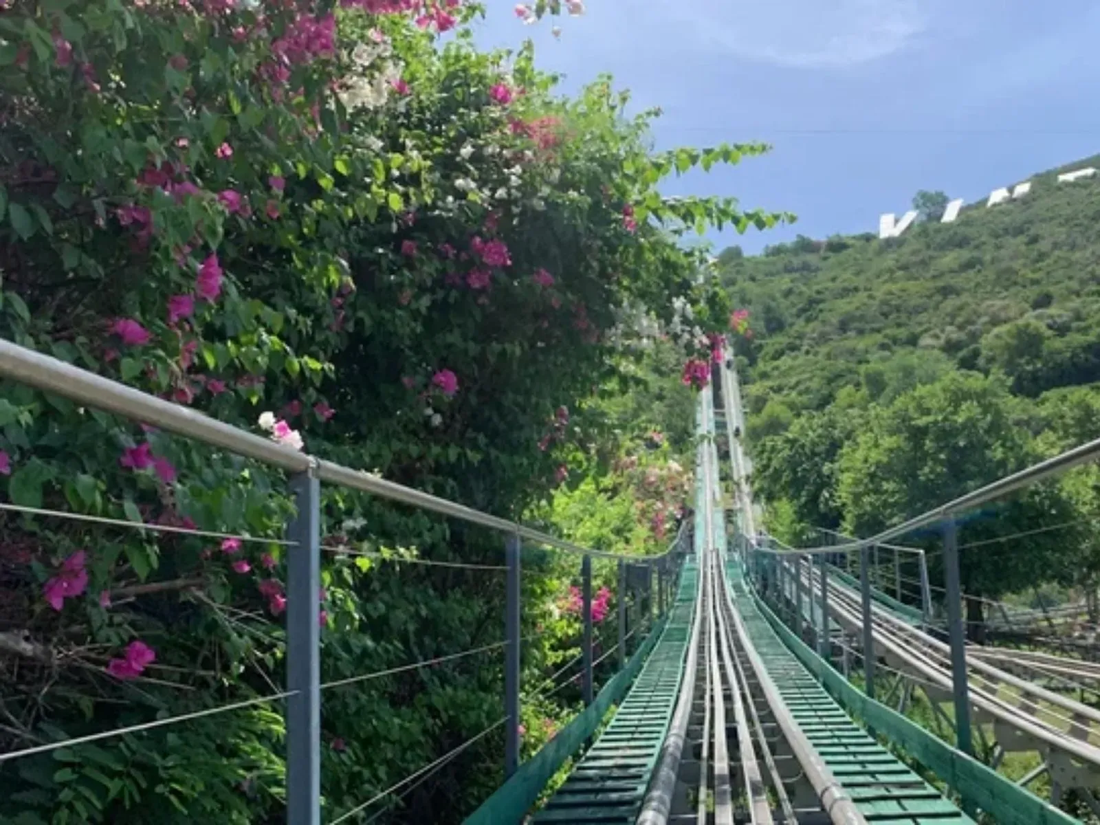Một vòng Alpine Coaster VinWonders Nha Trang có gì?