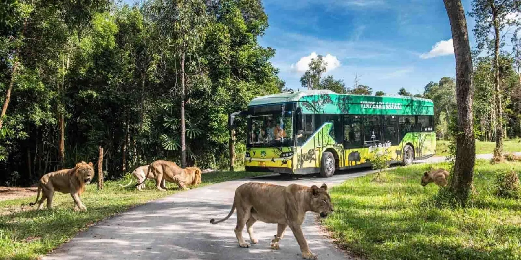 Review Vinpearl Safari Phú Quốc 2026: Top những trải nghiệm nổi bật nhất