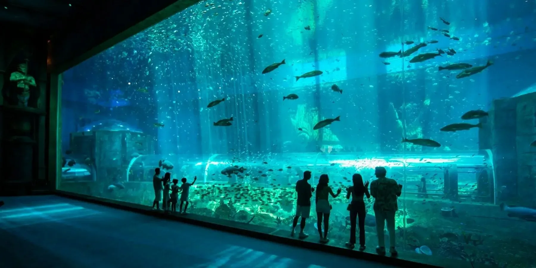 Sea World VinWonders Nha Trang | Khám phá thế giới đại dương
