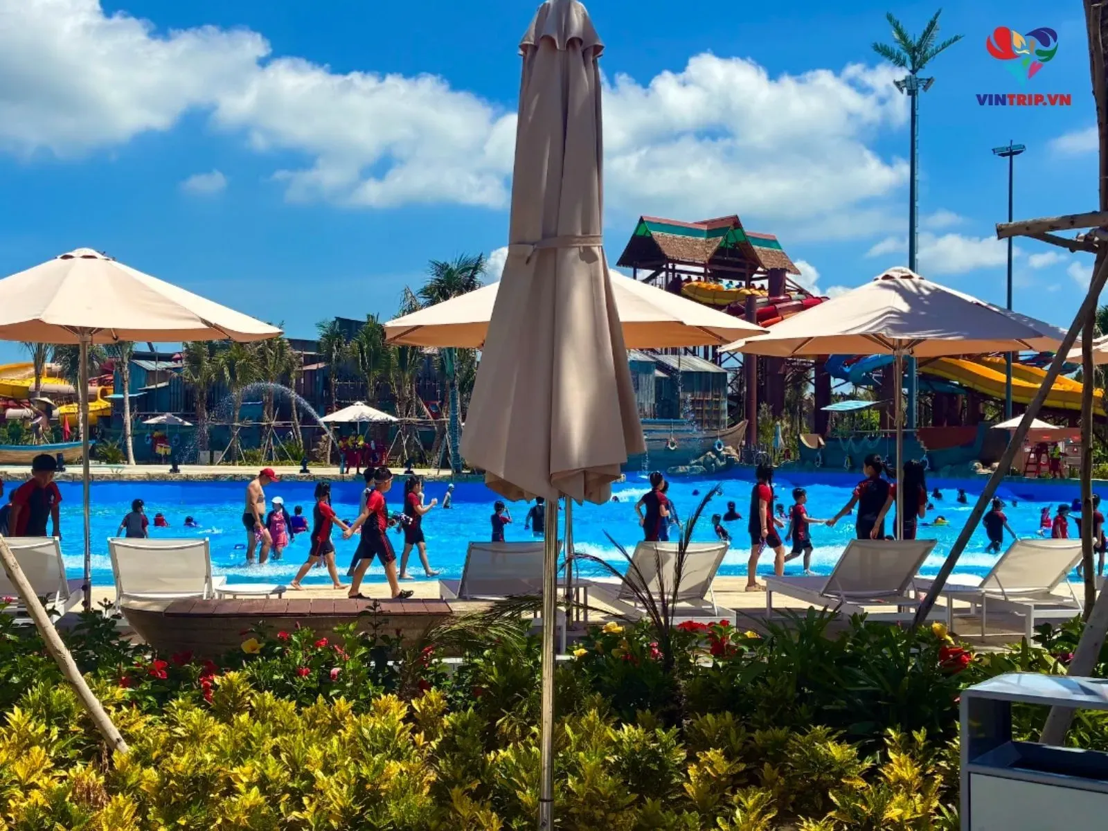 Công Viên Nước Sun World Vũng Tàu Ở Đâu?
