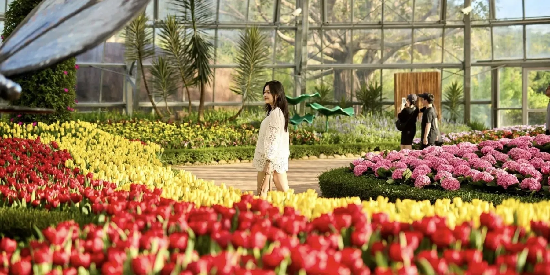 The World Garden Nha Trang: Khám phá Đồi Vạn Hoa giữa VinWonders