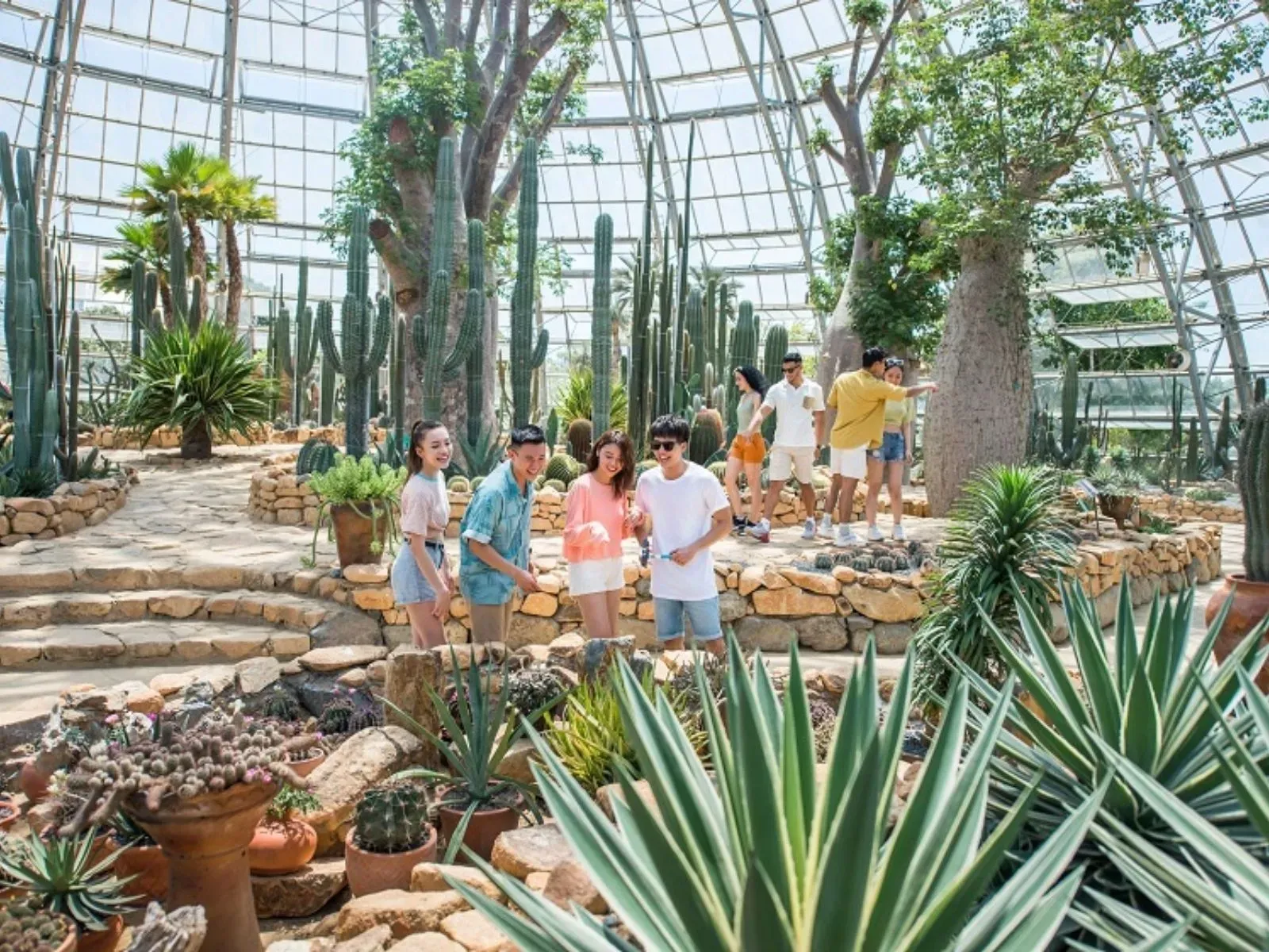The World Garden ở VinWonders Nha Trang có gì đặc biệt?