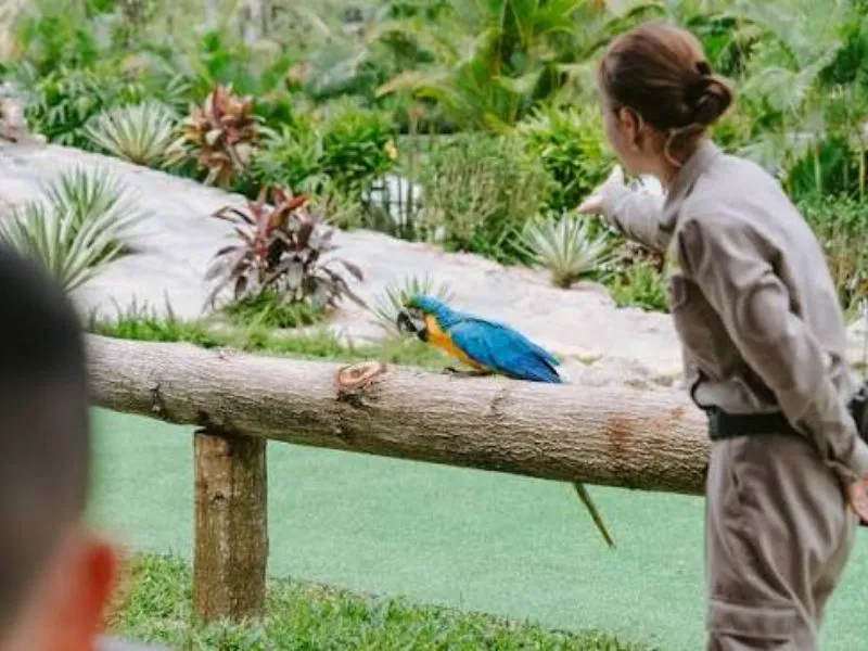 Thưởng Thức Các Show Biểu Diễn Động Vật