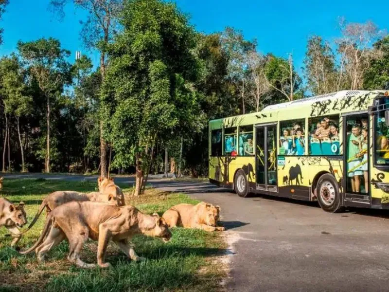 Trải nghiệm Safari "Nhốt người, thả thú"