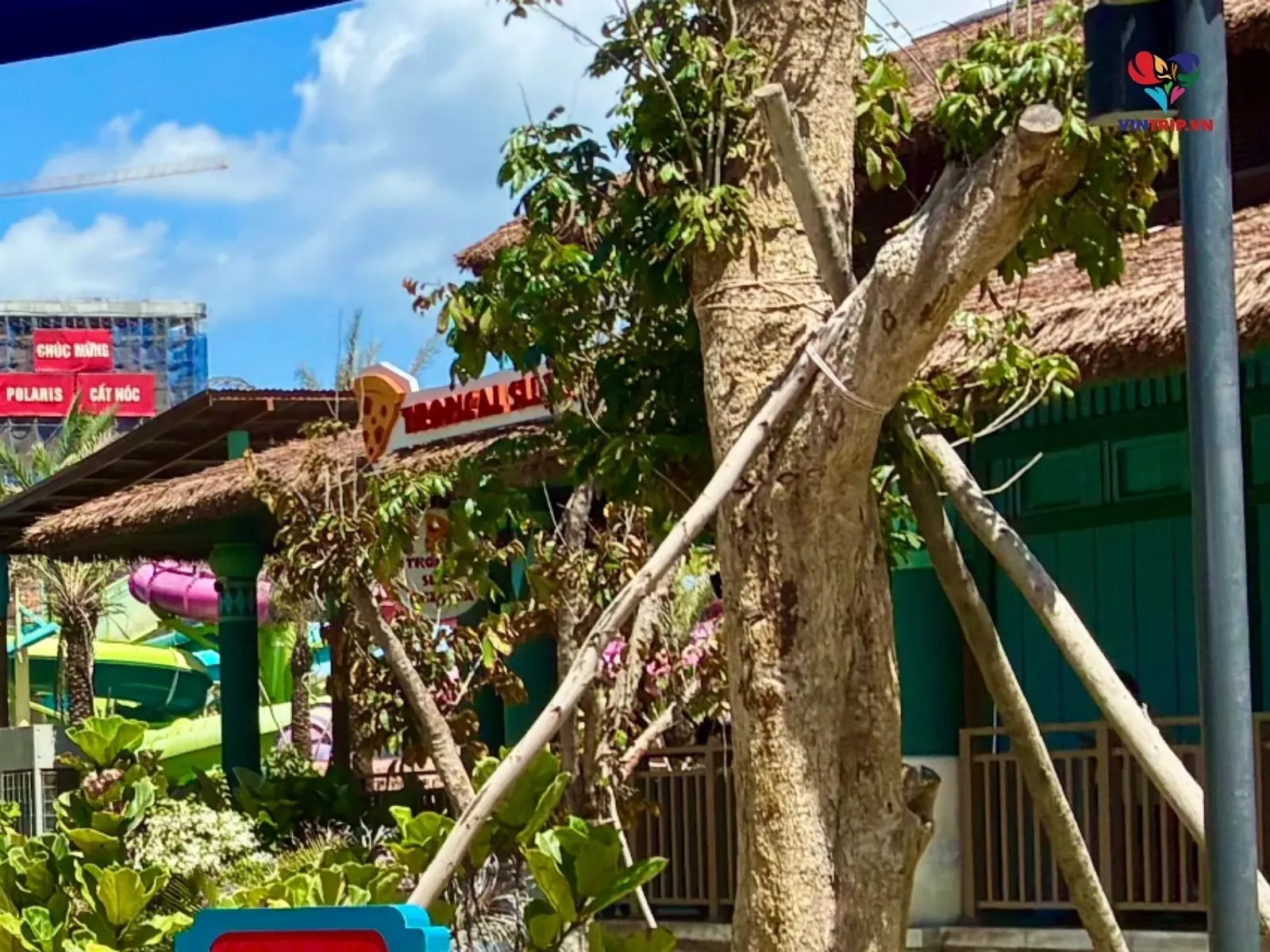 Tropical Slice Pizzeria Sunworld vung tau